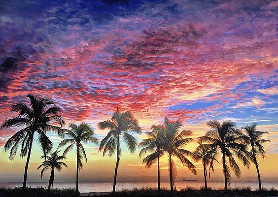 The Sky Blushed by Andrew Royston The Sky Blushed by Andrew Royston
