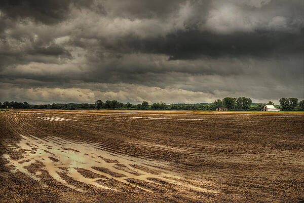 Wall Art - Digital Art - The Sky in the Tire Tracks by William Fields
