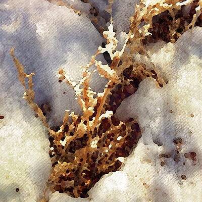 Wall Art - Photograph - The Snows Of Sandia --- Check Out More by Mark David Gerson