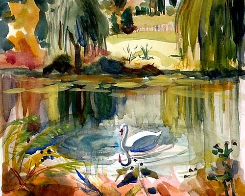 The Solo Swan by Judith Scull The Solo Swan by Judith Scull