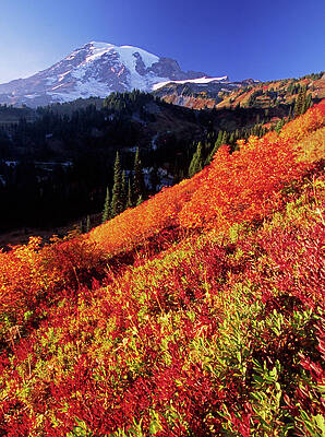 Wall Art - Photograph - The Soutern Slopes Of Mt. Rainier Turn by Cliff Leight