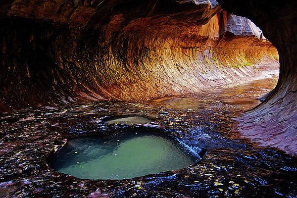 Wall Art - Photograph - The Subway Hike In Zion National Park by David Epperson