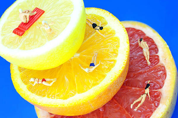 The swimming pool little people on food by Paul Ge The swimming pool little people on food by Paul Ge