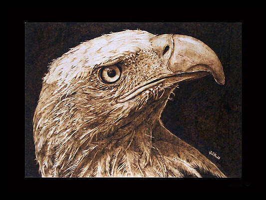 The Tawny Eagle II by Davide Della Noce