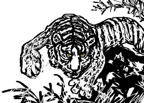 The Tiger by Paul Sutcliffe The Tiger by Paul Sutcliffe