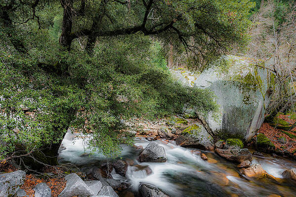 Wall Art - Photograph - Mirror Lake Dreaming by Chuck Jason
