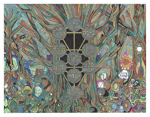 Wall Art - Drawing - The Tree Of Life As A Redwood Tree In Oregon by Phable Omsri
