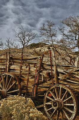 The Wagon by Janis Knight The Wagon by Janis Knight