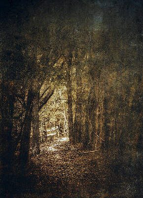 Wall Art - Photograph - The Way Out by Scott Norris