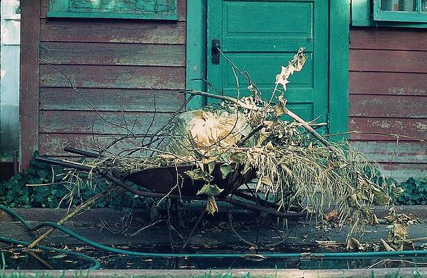 The Wheelbarrow by Cindy Clements The Wheelbarrow by Cindy Clements