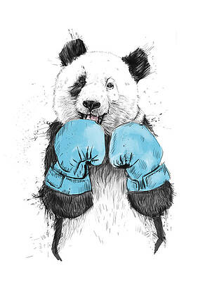 Boxing Drawing - The Winner by Balazs Solti
