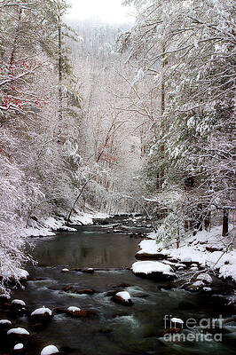 Wall Art - Photograph - The Wonder Of It All by Michael Eingle