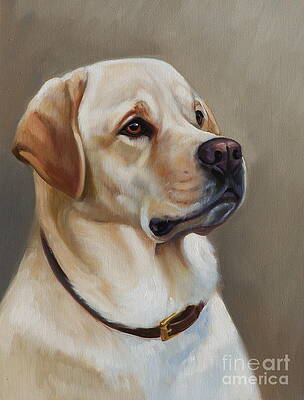 The Yellow Lab by Janet Crawford The Yellow Lab by Janet Crawford