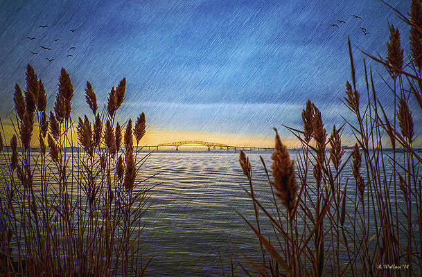 Wall Art - Photograph - This Bridge Is The Key by Brian Wallace