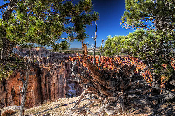 Wall Art - Digital Art - This Can Only Be Bryce by William Fields
