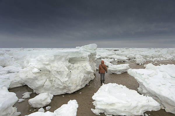 Wall Art - Photograph - This Is How Thick Ice In Wellfleet Cape Cod by Darius Aniunas