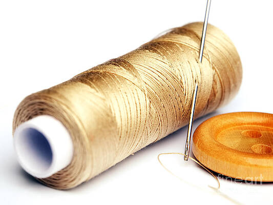Wall Art - Photograph - Thread and button by Sinisa Botas