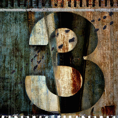 Wall Art - Photograph - Three Along the Way by Carol Leigh