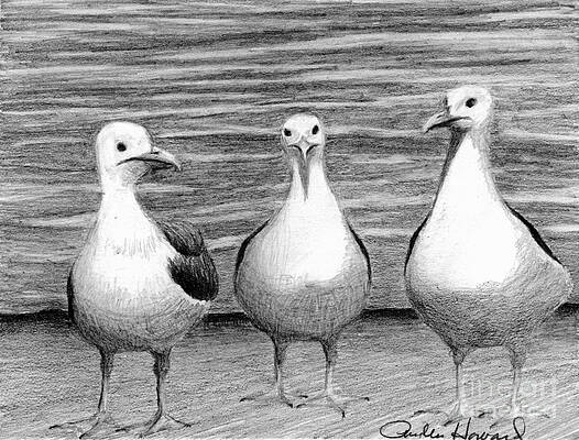 Three Amigos by Phyllis Howard Three Amigos by Phyllis Howard