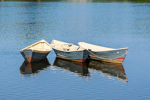 Three of A Kind by David Wornham