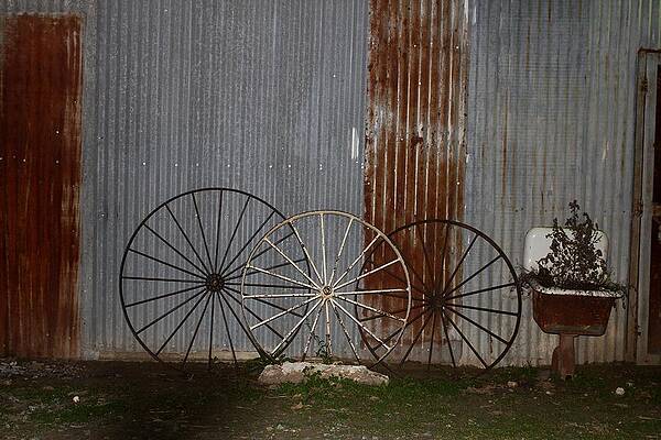 Three Wheels and a Sink Planter by Suzanne McClain Three Wheels and a Sink Planter by Suzanne McClain