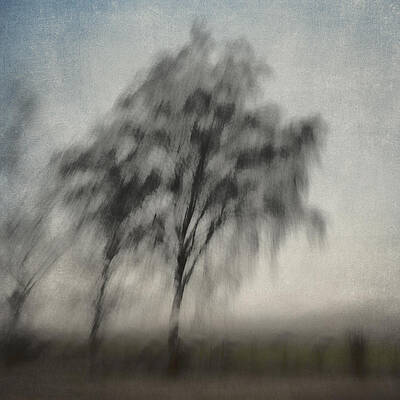 Wall Art - Photograph - Through a Train Window Number 3 by Carol Leigh