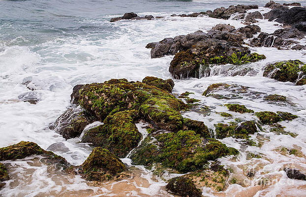 Tidal Islands by Vivek Kumar