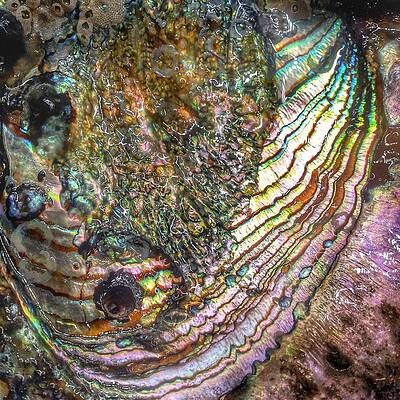 Tide and Time by Casey Rasmussen White Tide and Time by Casey Rasmussen White