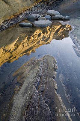 Wall Art - Photograph - Tide Pool by Sean Bagshaw