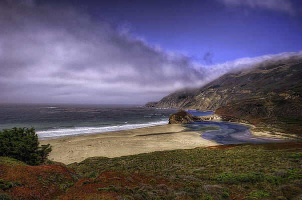 TIDE POOL by Stephen Campbell TIDE POOL by Stephen Campbell