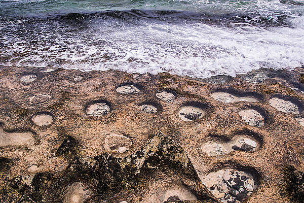 Tide Pools by Vivek Kumar