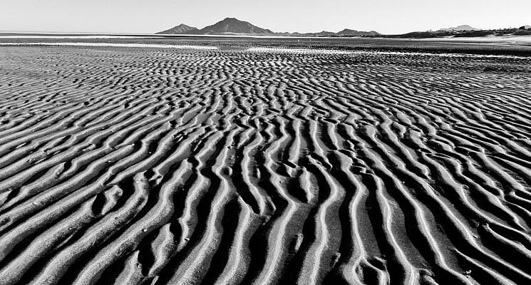 Tides out by Atom Crawford Tides out by Atom Crawford