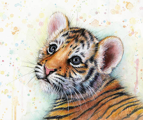 Tiger Prints - Tiger Photos For Sale