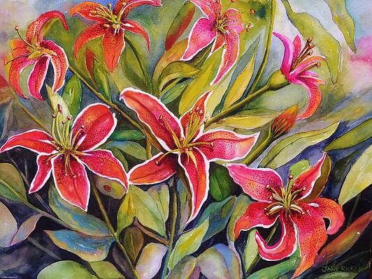 Tigers In My Garden by Jane Ricker Tigers In My Garden by Jane Ricker
