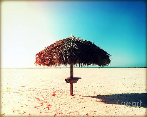 Tiki Hut Photography Light Leaks3 by Chris Andruskiewicz Tiki Hut Photography Light Leaks3 by Chris Andruskiewicz
