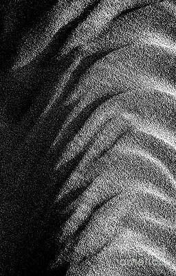 Wall Art - Photograph - Time and Tide by Tim Gainey