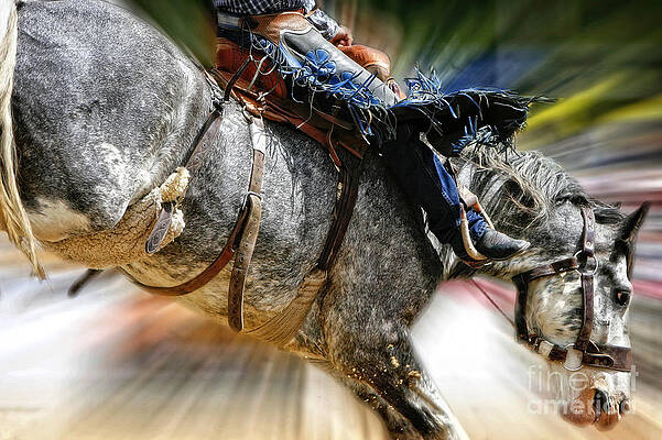 Wall Art - Photograph - Time to Saddle Bronc by Lincoln Rogers