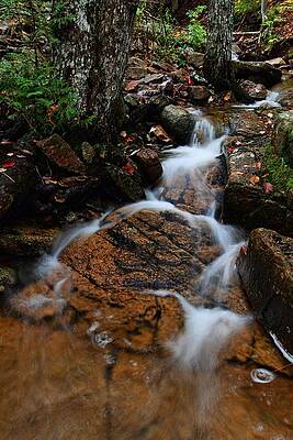 Tiny Waters by Mike Farslow Tiny Waters by Mike Farslow