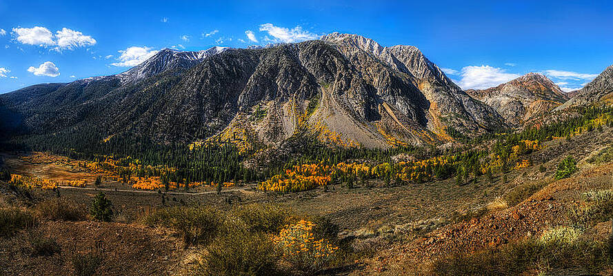 TIOGA PASS by Stephen Campbell TIOGA PASS by Stephen Campbell