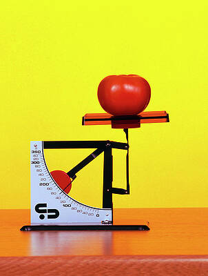 Wall Art - Photograph - Tomato On A Set Of Weighing Scales by Science Photo Library