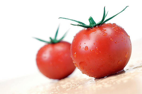 Wall Art - Photograph - Tomatoes by Science Photo Library