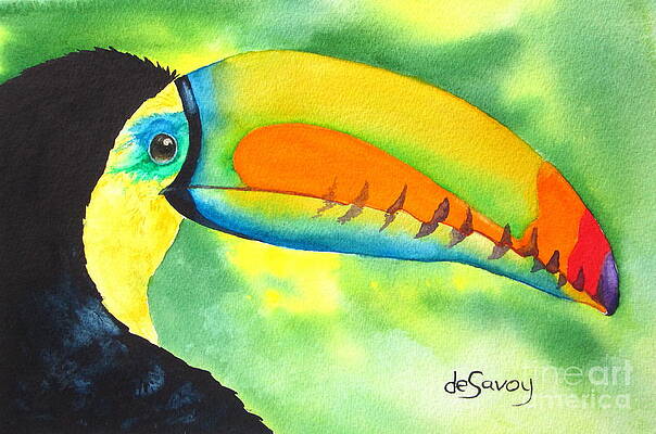 Tookey by Diane DeSavoy Tookey by Diane DeSavoy