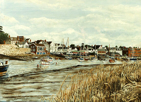 Topsham Devon viewed from across the River Exe by Mackenzie Moulton Topsham Devon viewed from across the River Exe by Mackenzie Moulton