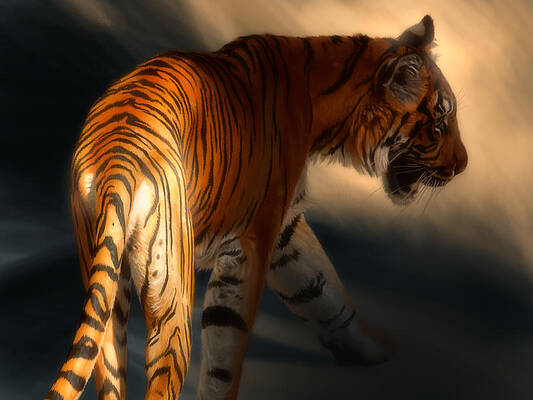 Wall Art - Digital Art - Torch Tiger 3 by Aaron Blaise