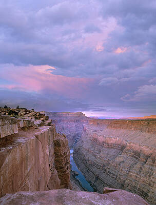 Wall Art - Photograph - Toroweap Overlook Grand Canyon Nparizona by Tim Fitzharris