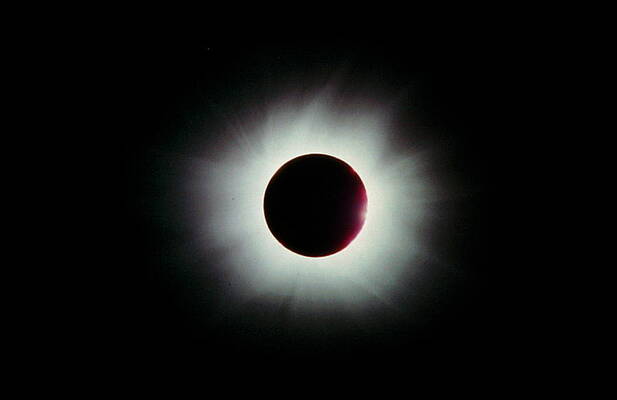 Wall Art - Photograph - Total Solar Eclipse by Science Photo Library
