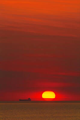 Wall Art - Photograph - Touch and Go by Douglas Barnard