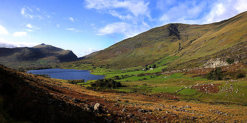 Green Photograph - Towards Brin by Mark Callanan