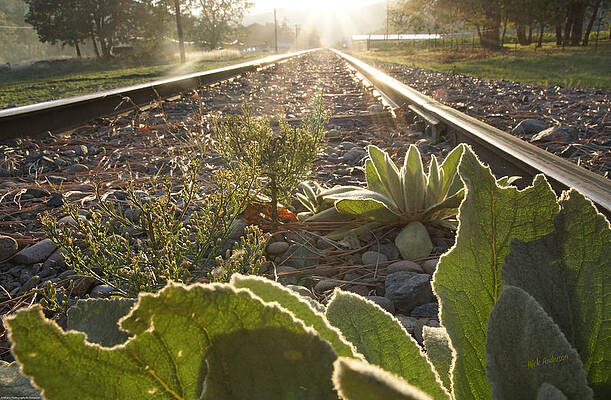 Track To An Uncertain Future by Mick Anderson