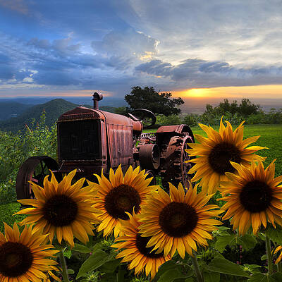 Wall Art - Photograph - Tractor Heaven by Debra and Dave Vanderlaan
